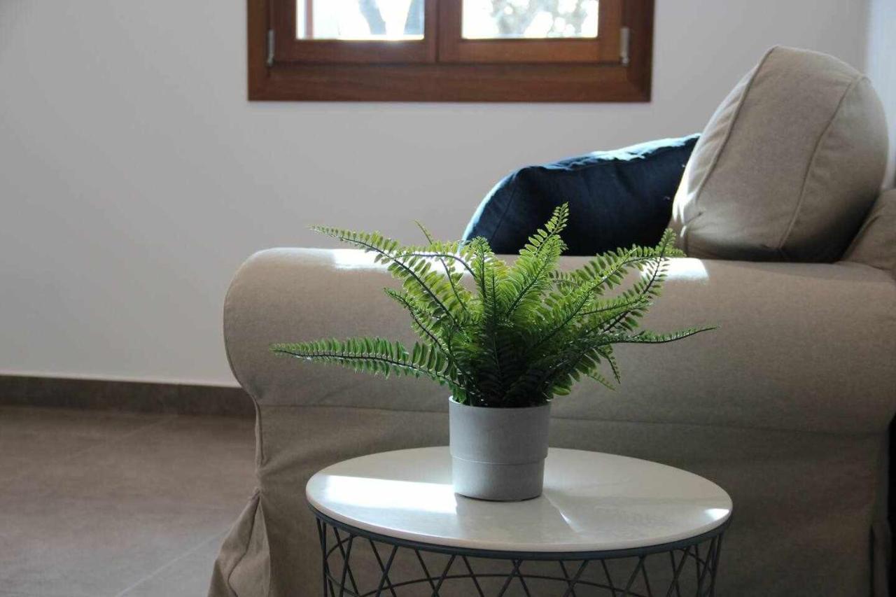 Apartamentos Rurales Patxillaborda Hego 레소 외부 사진